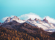 2026世界杯官方软件安装-蔡佳云和王蒙将担任冬残奥会中国代表团闭幕式旗手